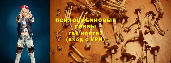 дурь Володарск