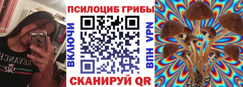 Купить закладки  Сосновоборск  Галлюциногенные грибы прущие грибы 